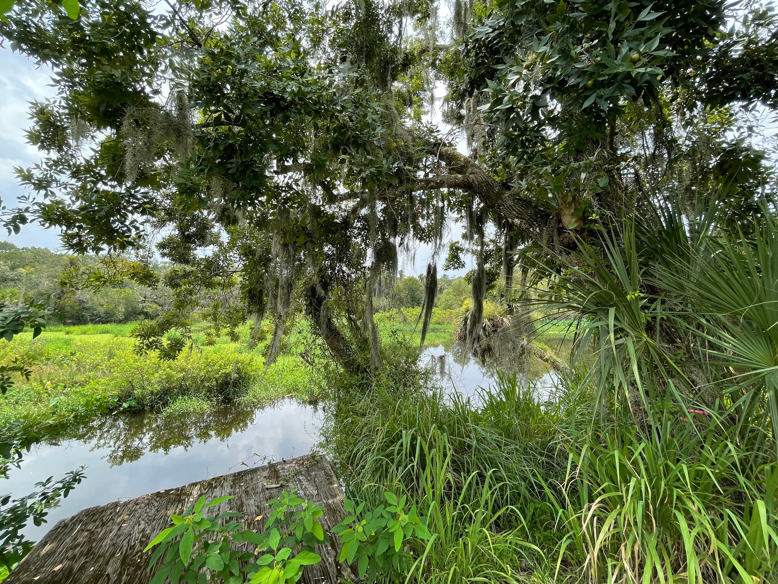 Linger Lodge on the Braden River, Bradenton FL